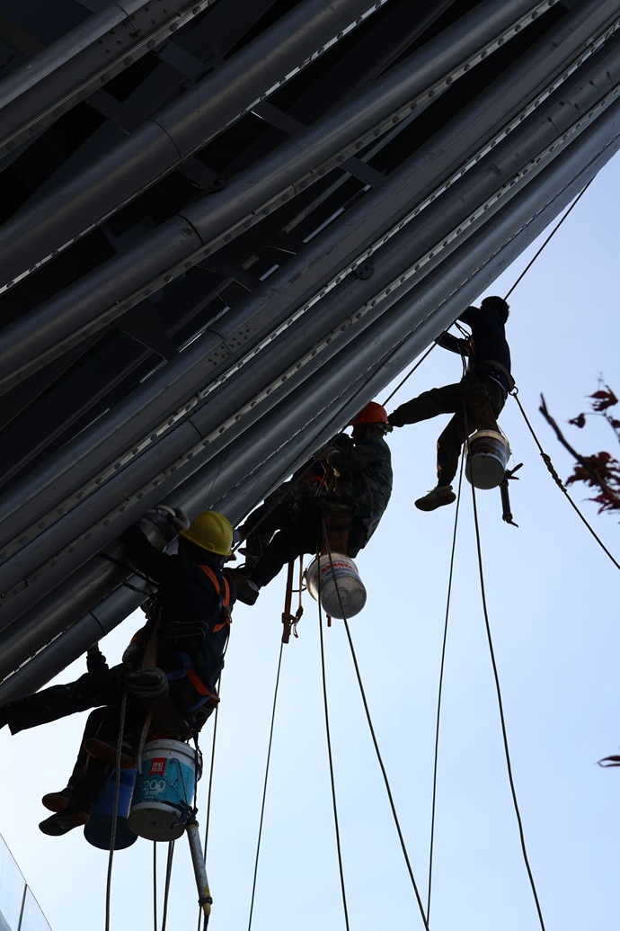 Progresión Vertical de Alta Cota Para la Integridad de Edificios